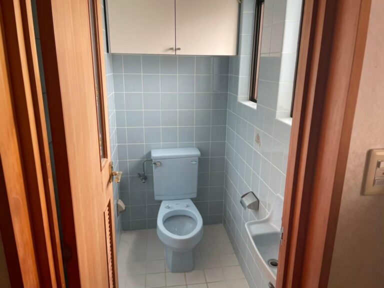 Before画像