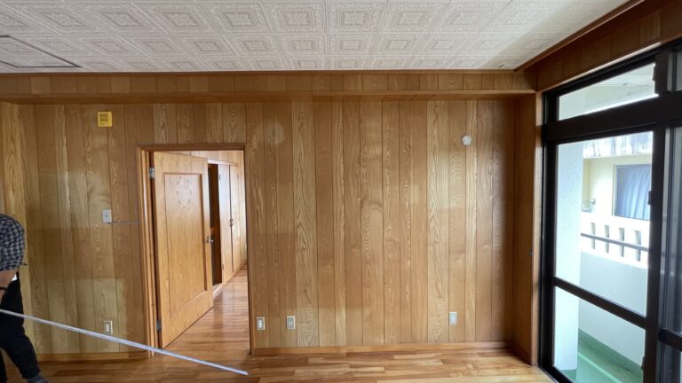 Before画像